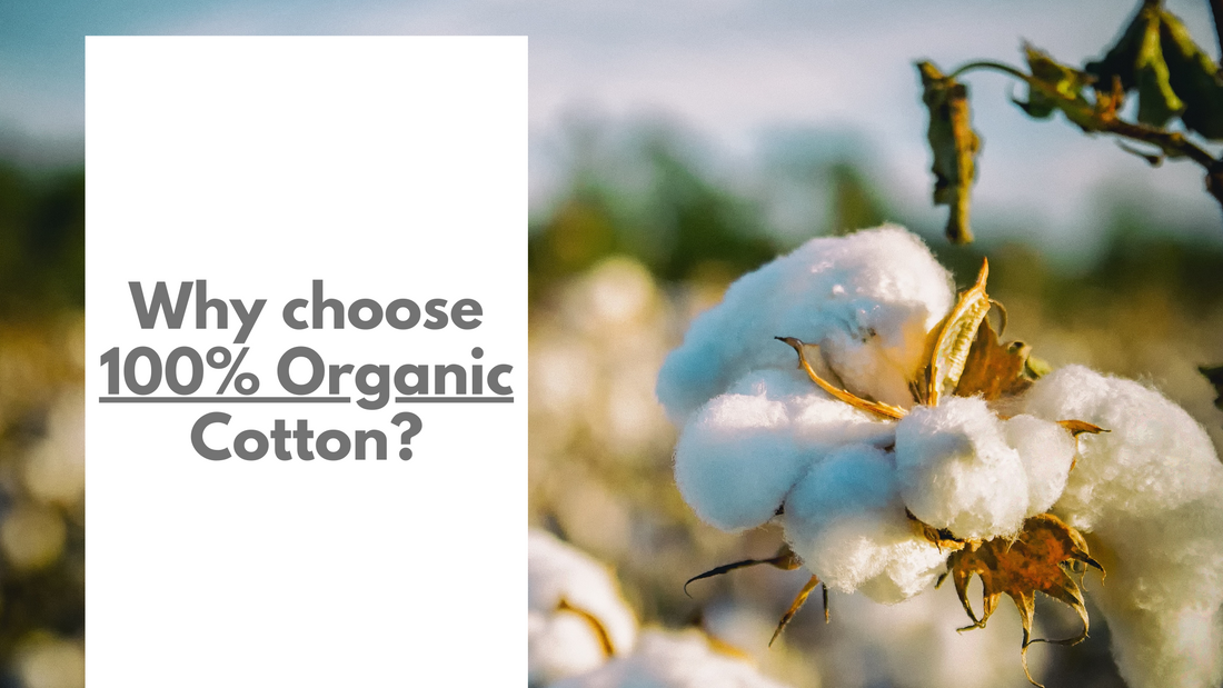 Organic Cotton Benefits